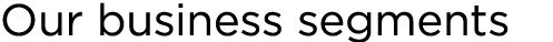 Our business segments