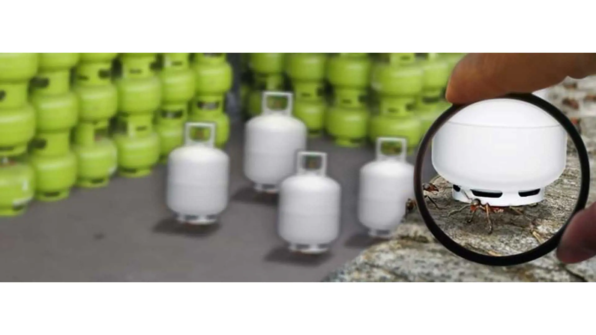 image magnifier closeup on an ant with a white LPG cylinder