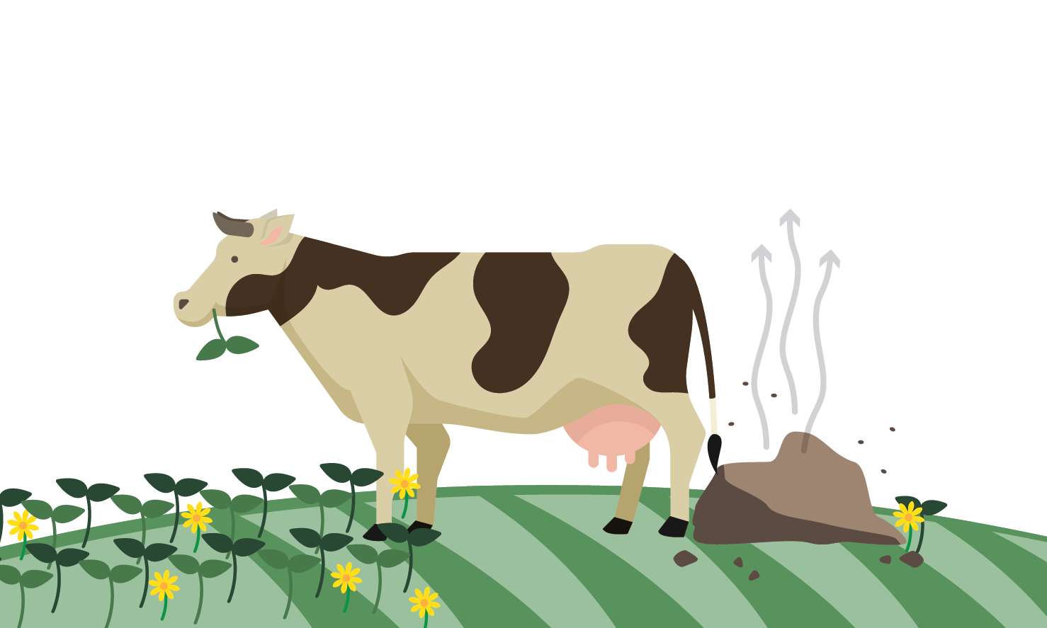 illustration of a cow and a cow dung