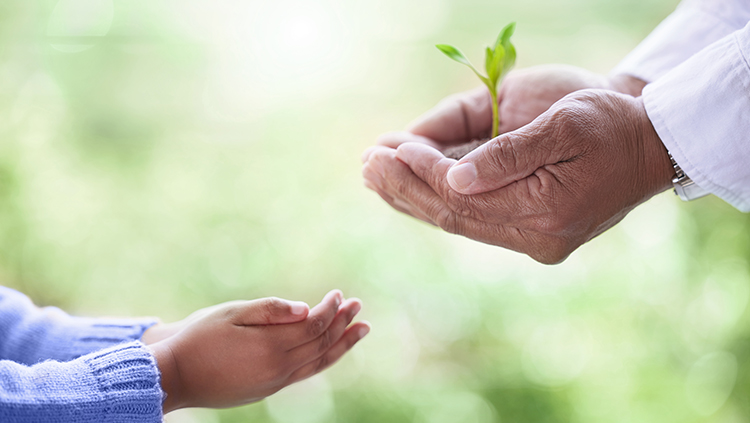 Two hands holding a small plant with soil, reaching out to a child's open hands, symbolizing sustainability and care across generations.