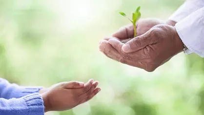 Two hands holding a small plant with soil, reaching out to a child's open hands, symbolizing sustainability and care across generations.