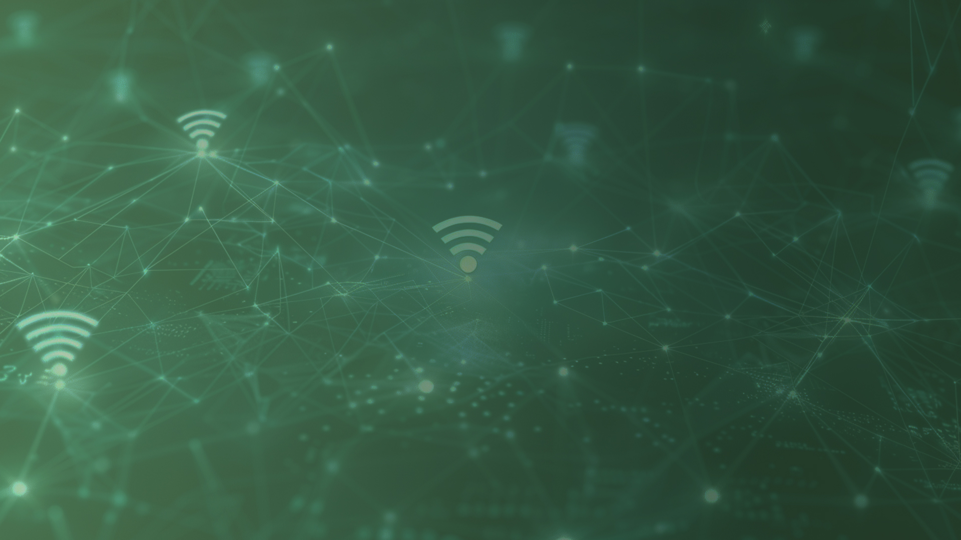 green background imitation wireframes and three networks