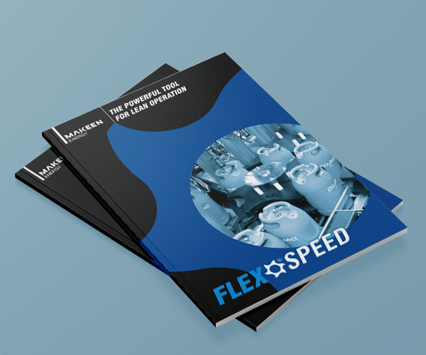 image of brochure cover with closeup of a FLEXSPEED carousel 