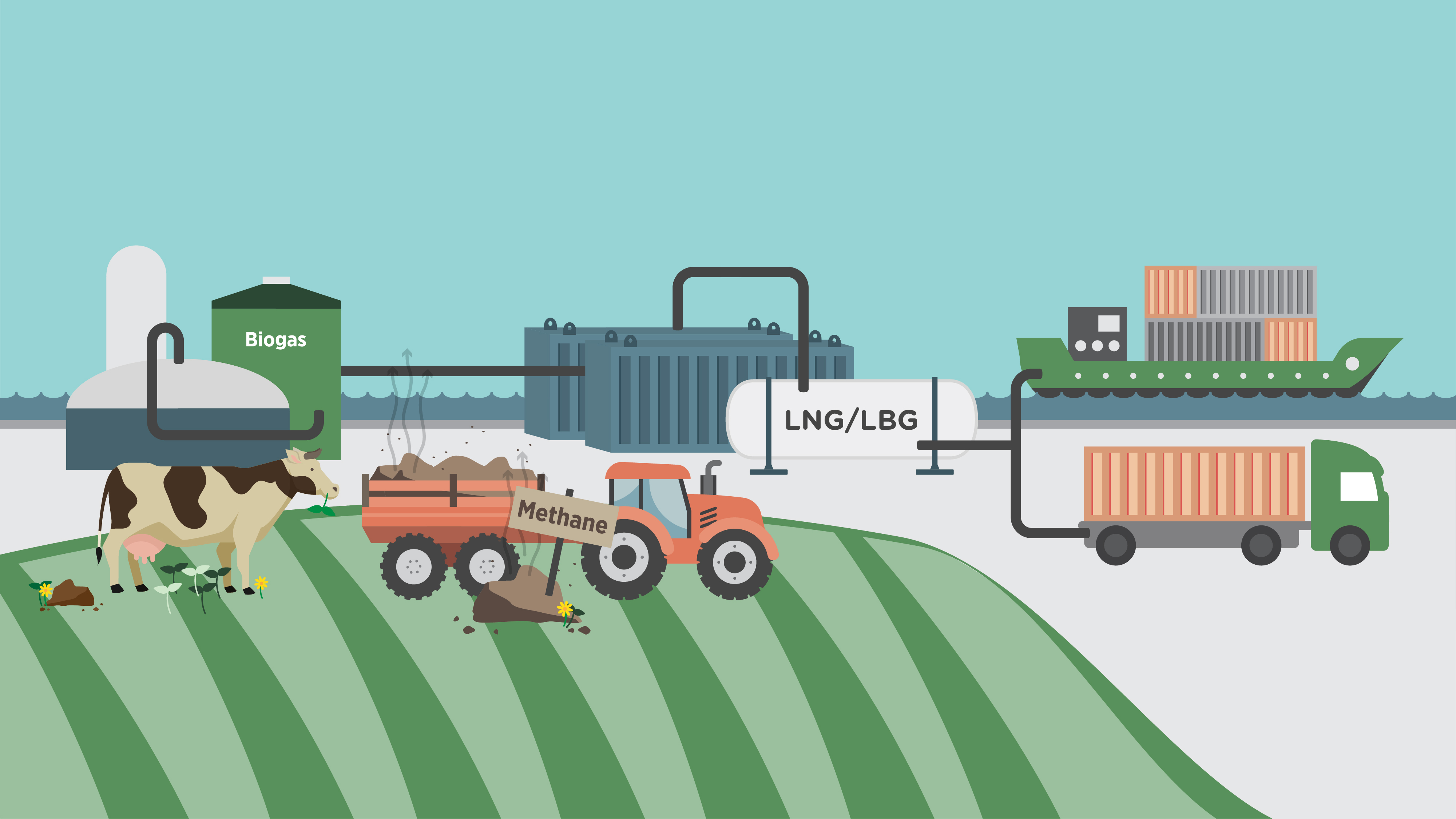 Graphic showing the LBG supply chain