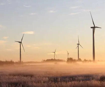 image of five windmills in morning sunset