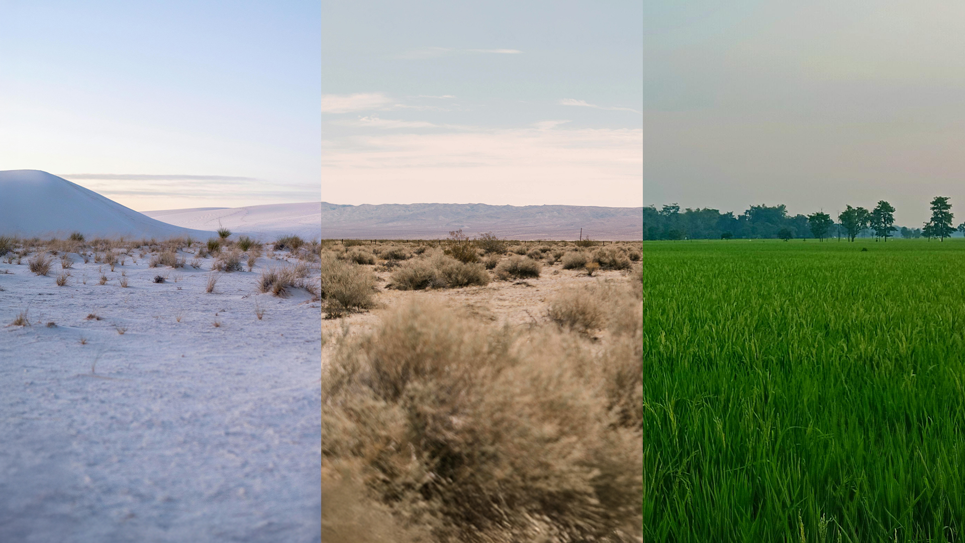 climate 3 different, snow and cold, hot and dry, wet and green