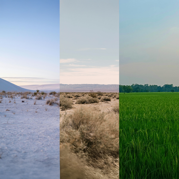 climate 3 different, snow and cold, hot and dry, wet and green