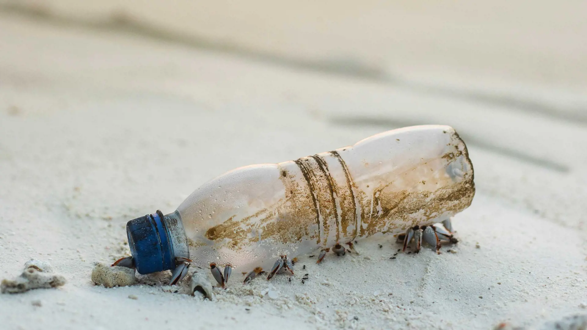 Plastic bottle on a beach