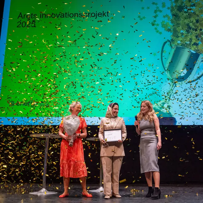 Photo of the winner DecomBlades at the Yearly Innovation Project in Denmark